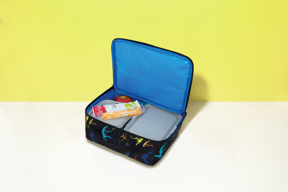 freezable-lunch-box-limited-edition-b2 2022_Lifestyle_Lunch-Box_Dino_Fossils2_Hires.jpg