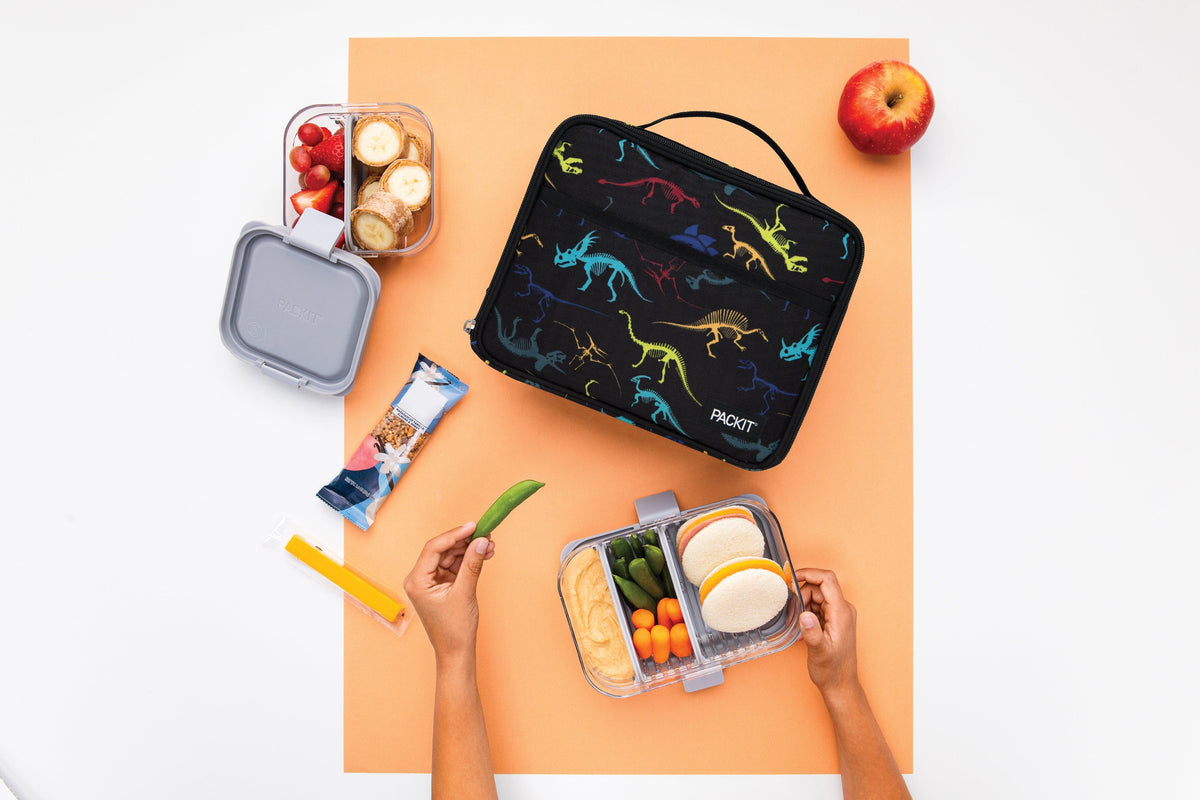 freezable-lunch-box-limited-edition-b2 2022_Lifestyle_Lunch-Box_Dino_Fossils_Hires.jpg